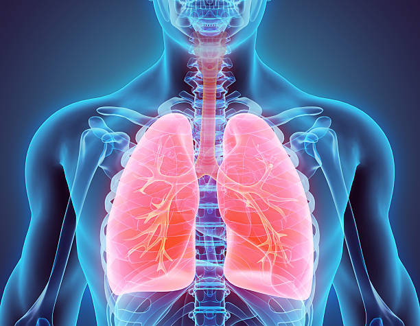 At-home natural treatments for COPD